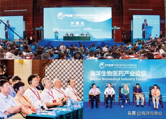 海洋成医药资源新高地，企业开启海洋医药研发