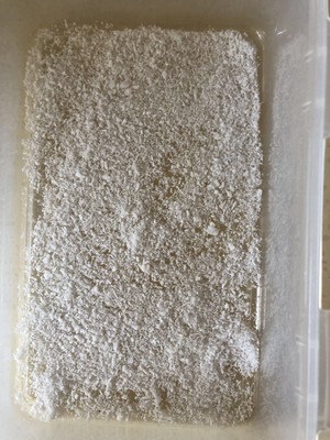 Sweetmeats of woman of fawn on of net red snow, cate milk strawberry is small, tall Yan Zhitian nods cookbook, simple and fastfood