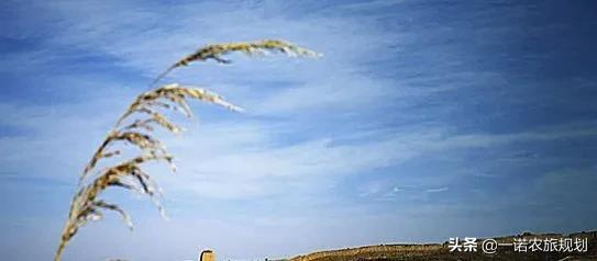 文旅项目规划当融入策划，重点解决项目卖点和突破难点的问题