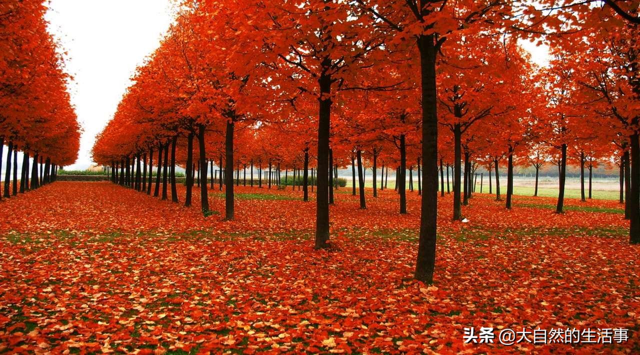 一辈子很短请好好爱自己的说说 人生短暂开心就好的句子图片