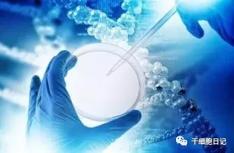“外泌体”已成为医药生物技术领域一大研究热点