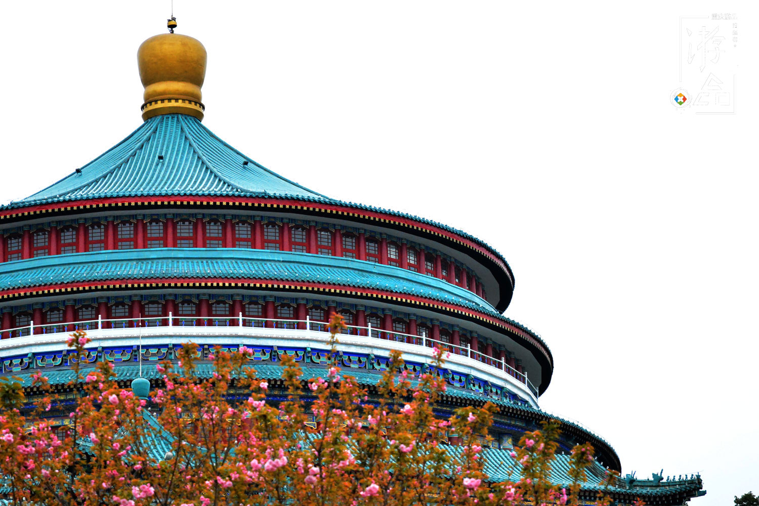 5分钟！我从重庆大礼堂跑到中山四路，梯坎越陡越省时