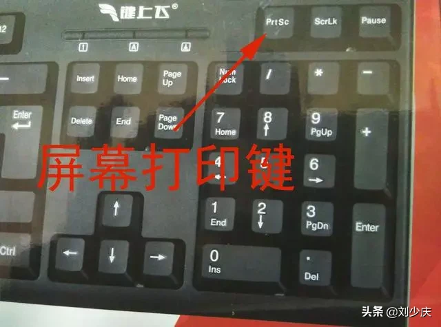 每天学一点 7天学会使用电脑办公操作