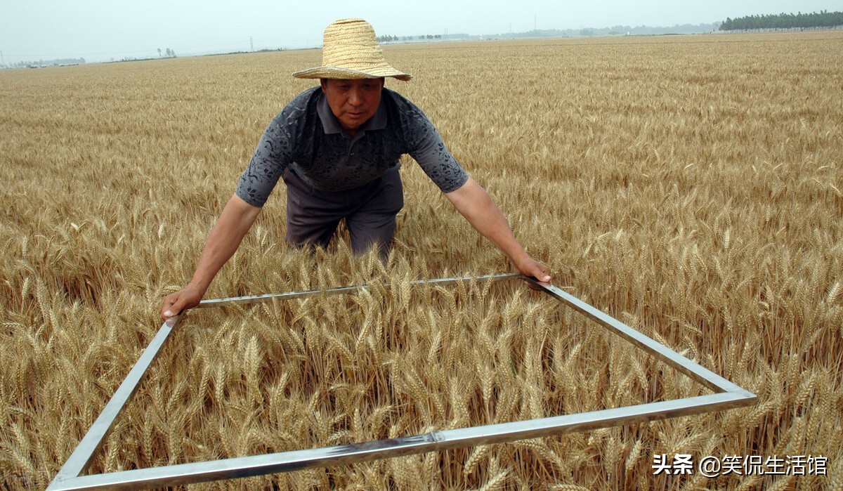 农民怎么用手机测量土地面积？操作十分简单，看完就知道了