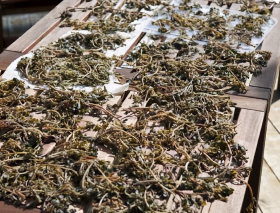 圖片[9]-這4種菜曬成干比新鮮的好吃 遇見多買點 曬干保存好 隨吃隨取-起舞食譜網