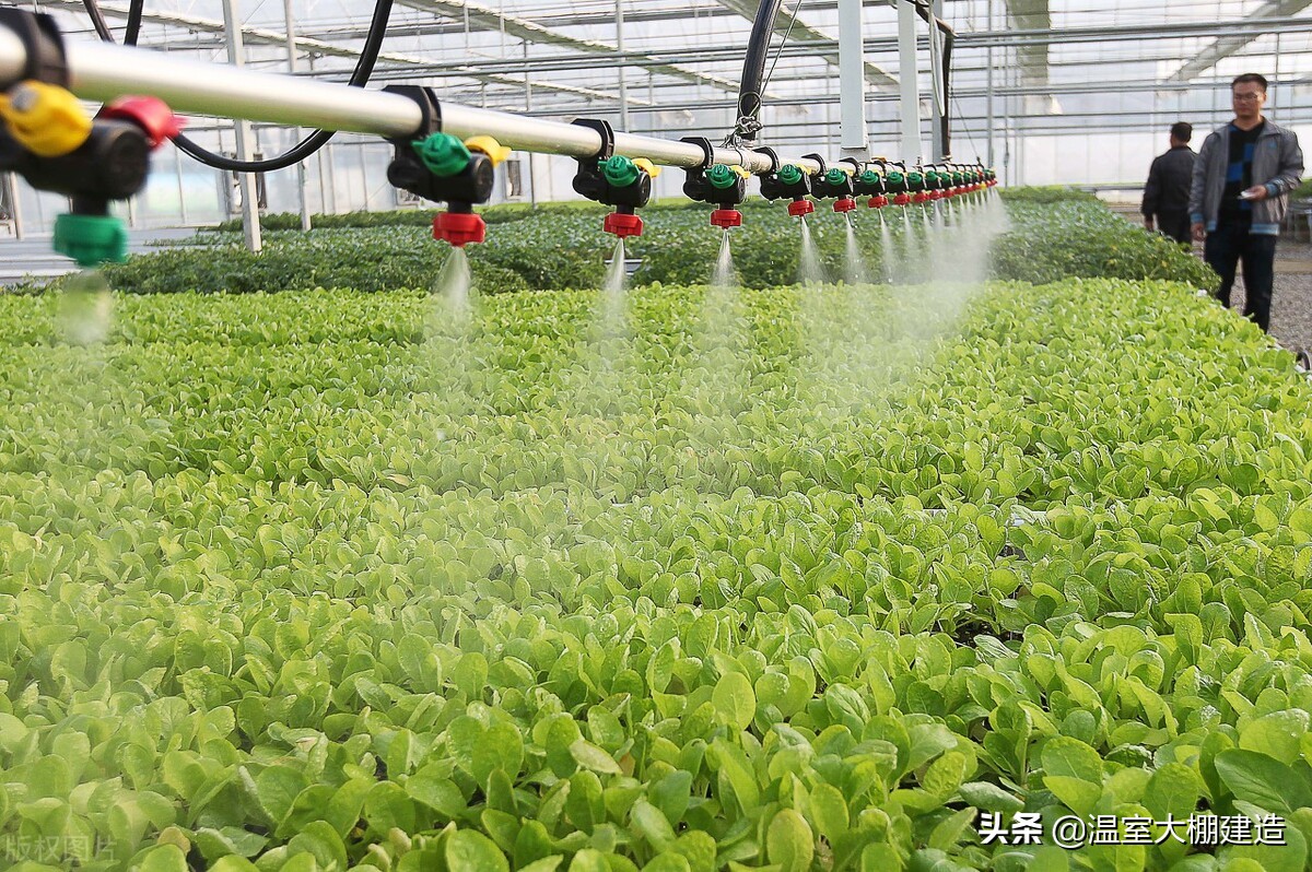 温室大棚中水肥一体化的应用技术你有了解过吗？