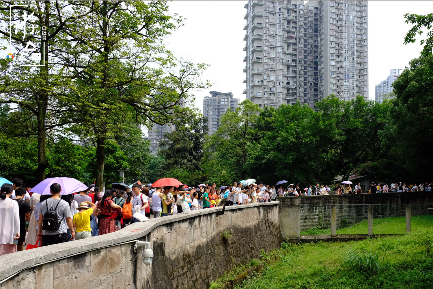 重庆最遗憾游乐园：南坪破败的科普中心，曾是小孩们高攀不起的梦