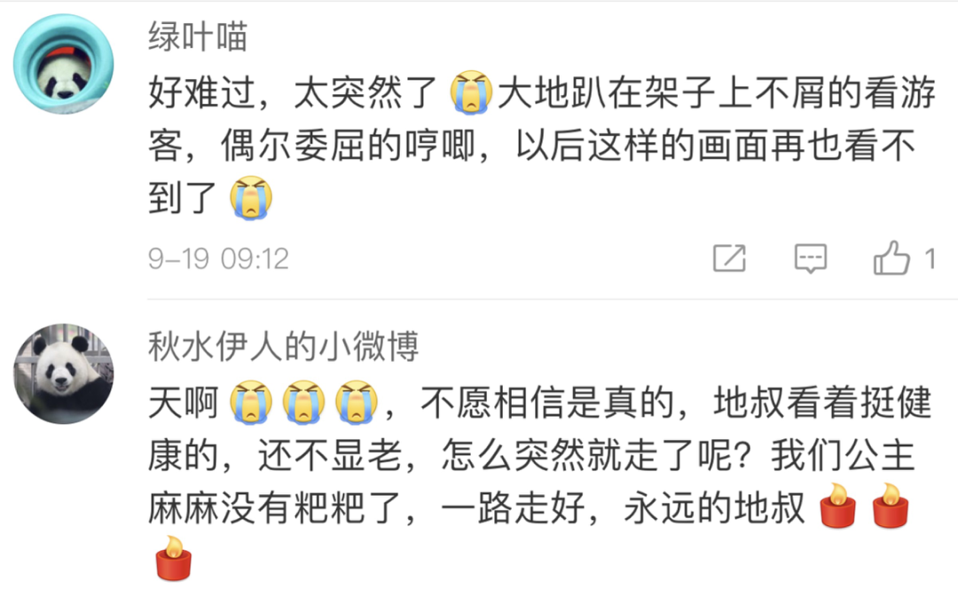 主打置顶|北京动物园“大地叔叔”去世近一个月后，死因公布！网友深情追忆