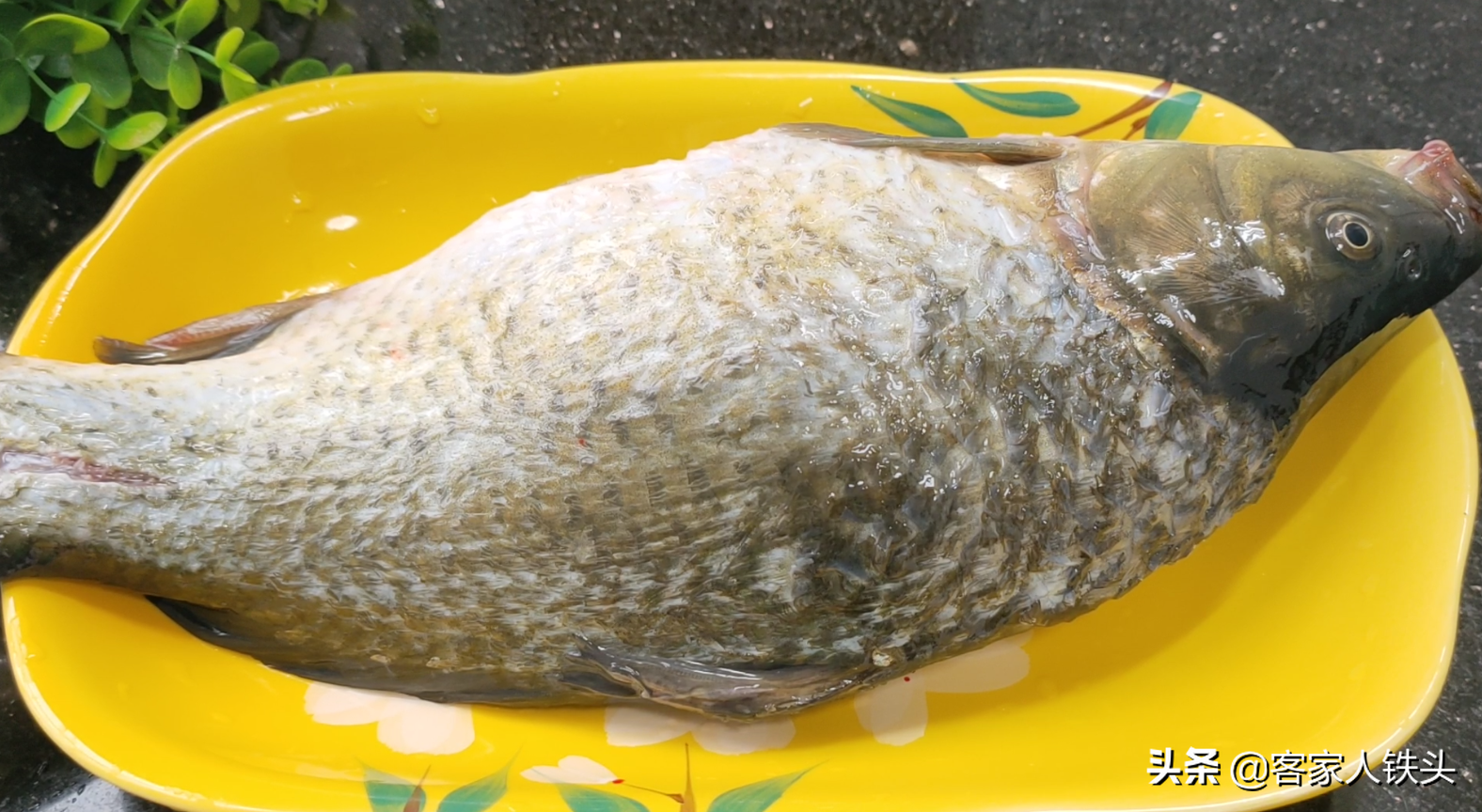 暑假早餐吃什么好？试试我家孩子一吃要2碗的营养早餐，便宜好吃