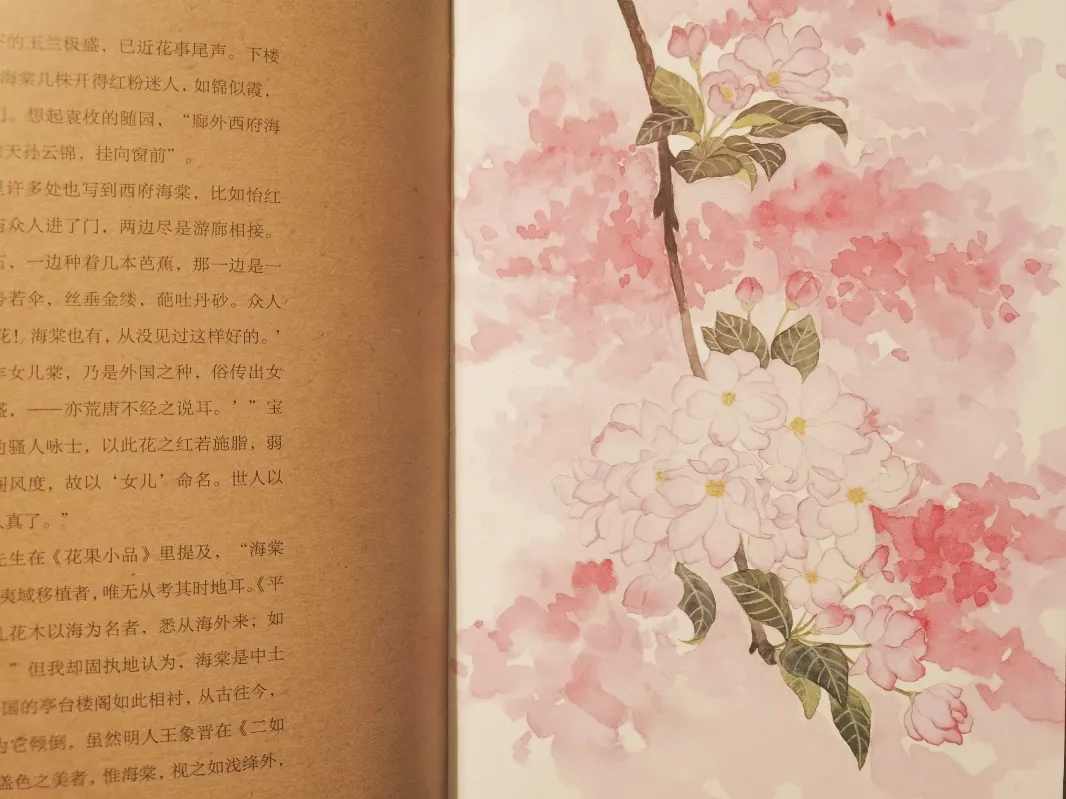 谷雨 与繁花相见 与草木同喜 资讯咖