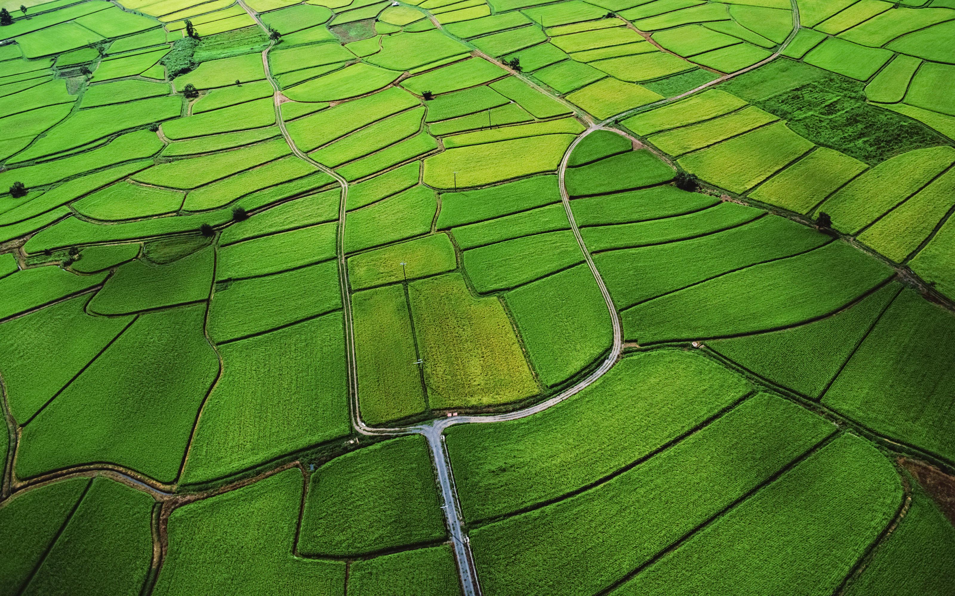 未来中国农村和农业图景