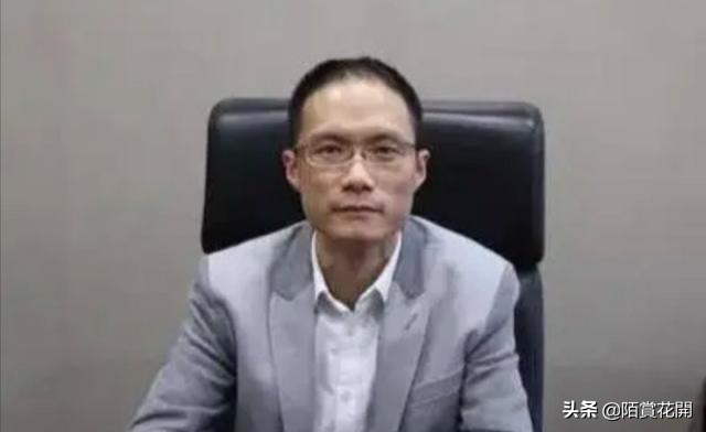 一般人应该都知道陈军不是真心，为啥绿地事件