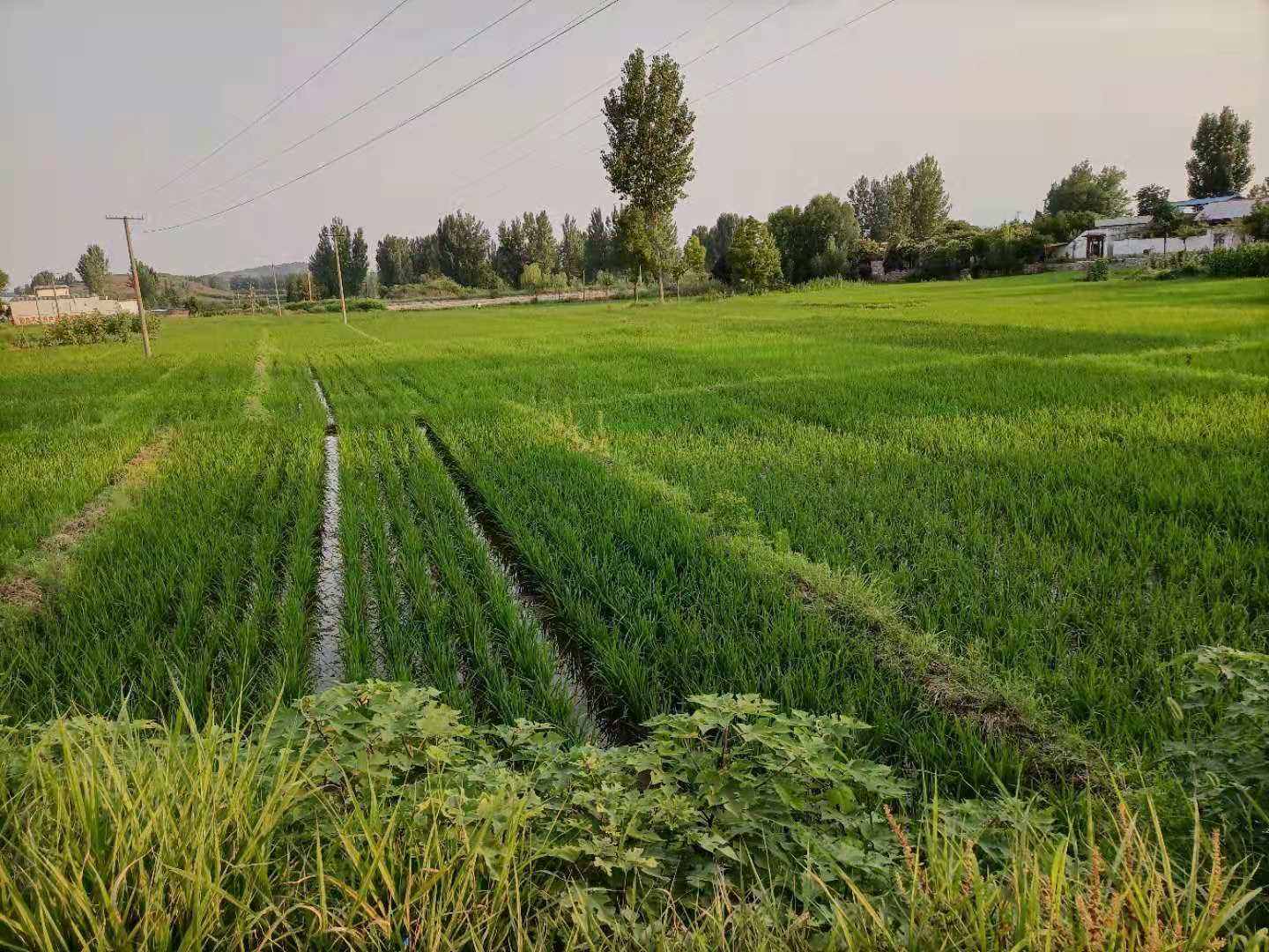 比紅旗渠早十年建成的南召米糧渠——薄地川變米糧川的史詩 - 資訊咖