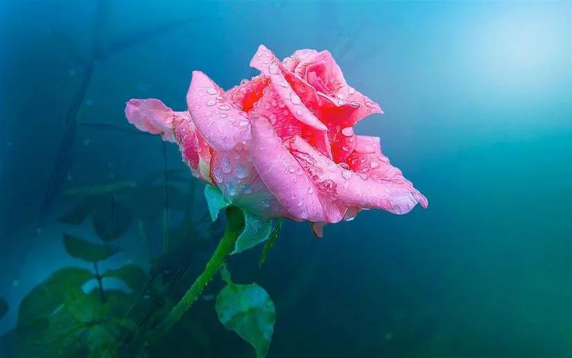 前瞻性思维，优秀文章的先行者