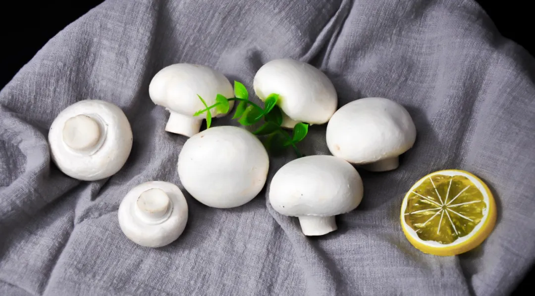 蘑菇 | 食物中的