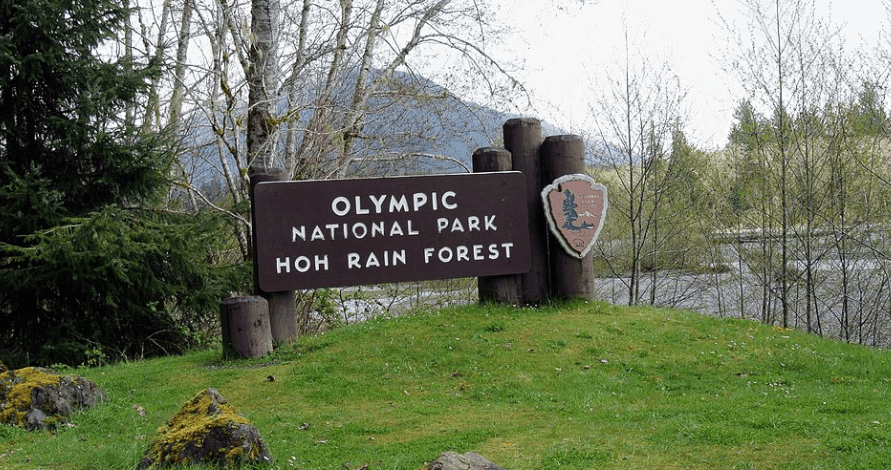 地球之肺，探索地球上的17個雨林