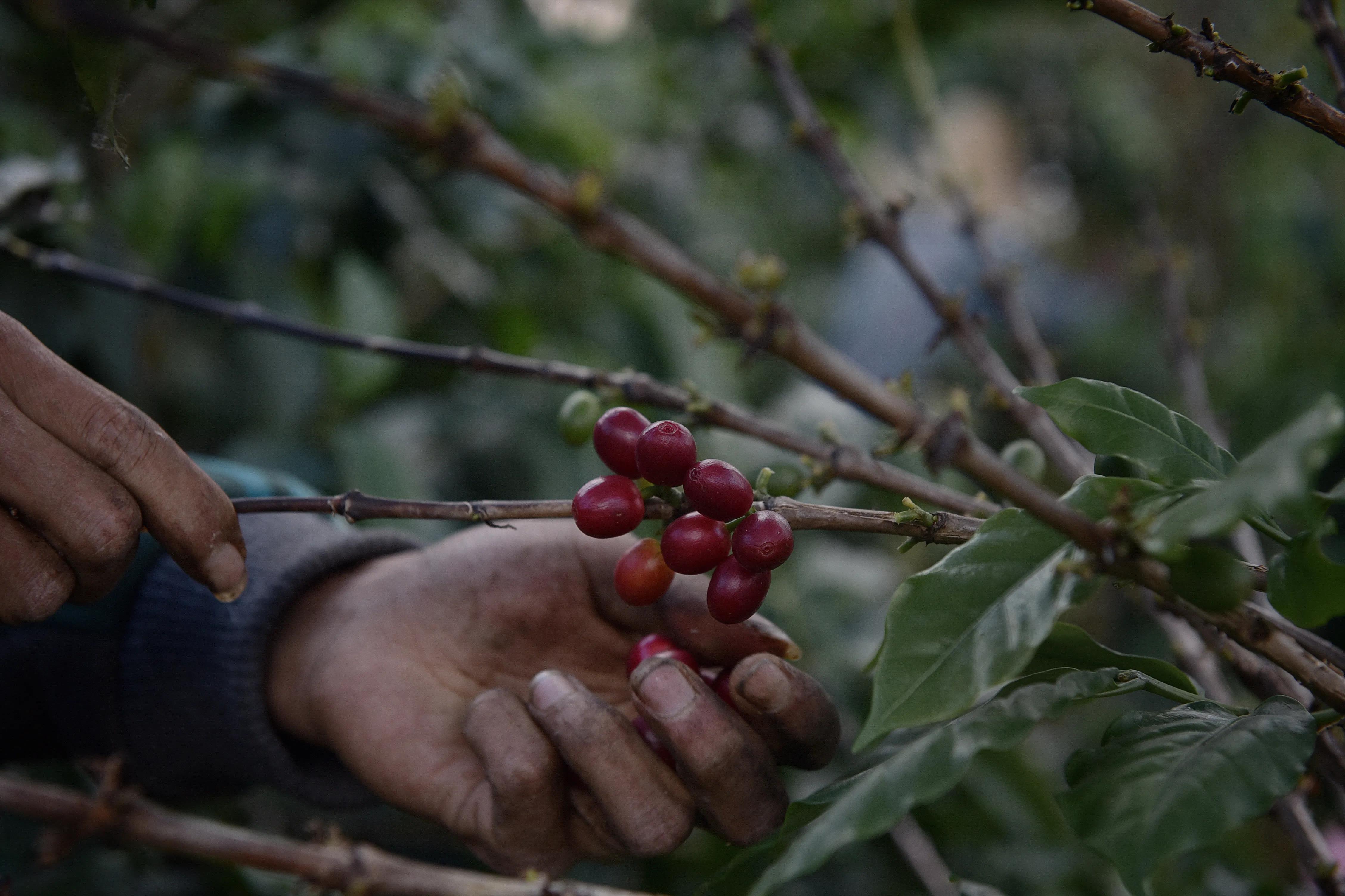 雲南保山潞江壩和百花嶺 和誰去玩 去哪裏玩 Zh中文網