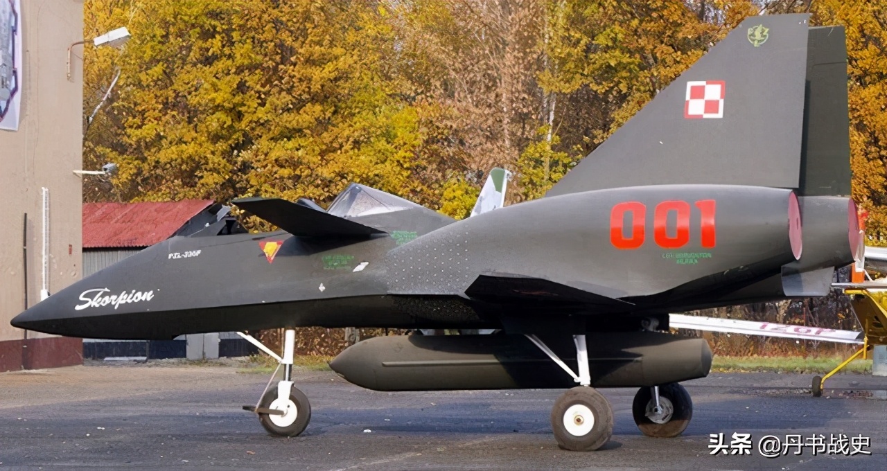 波兰PZL-230“蝎子”攻击机，很有科幻外表的小短腿