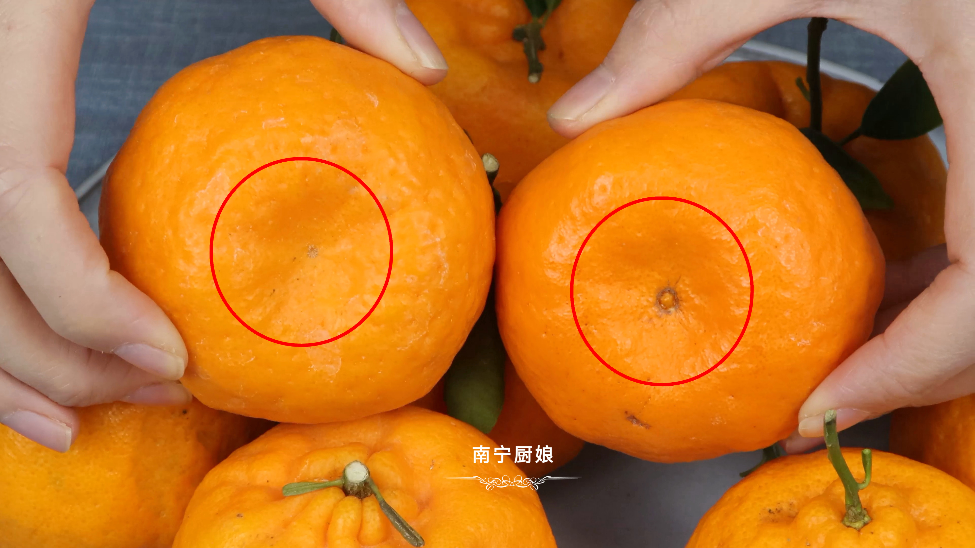 買醜橘時怎麼挑？ 教你5個挑選方法，學會后買到的個個鮮甜又多汁