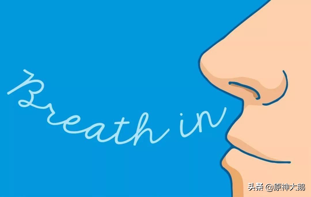 有痰咳不出来 养肺秘诀 一呼一吸一哈气 排痰变容易 原神大鹅 Mdeditor