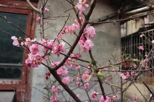 前瞻性思维，优秀文章的先行者