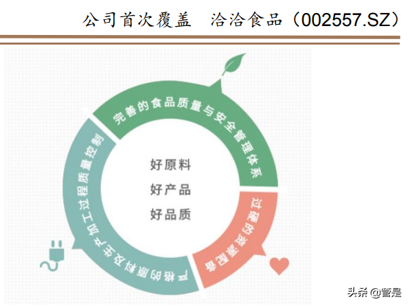 洽洽食品专题报告：瓜子王者稳，坚果曲线靓