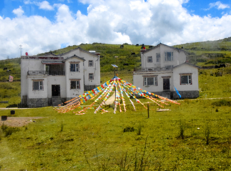 四川旅游：走进阿坝州红原大草原（图）