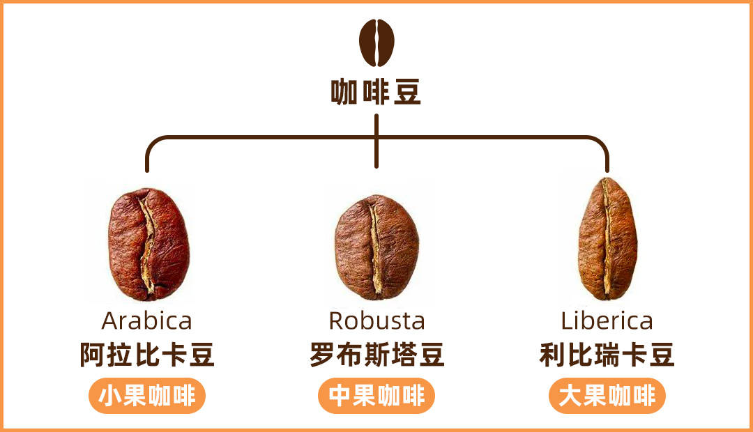 咖啡價(jià)格不一，到底該怎么選？