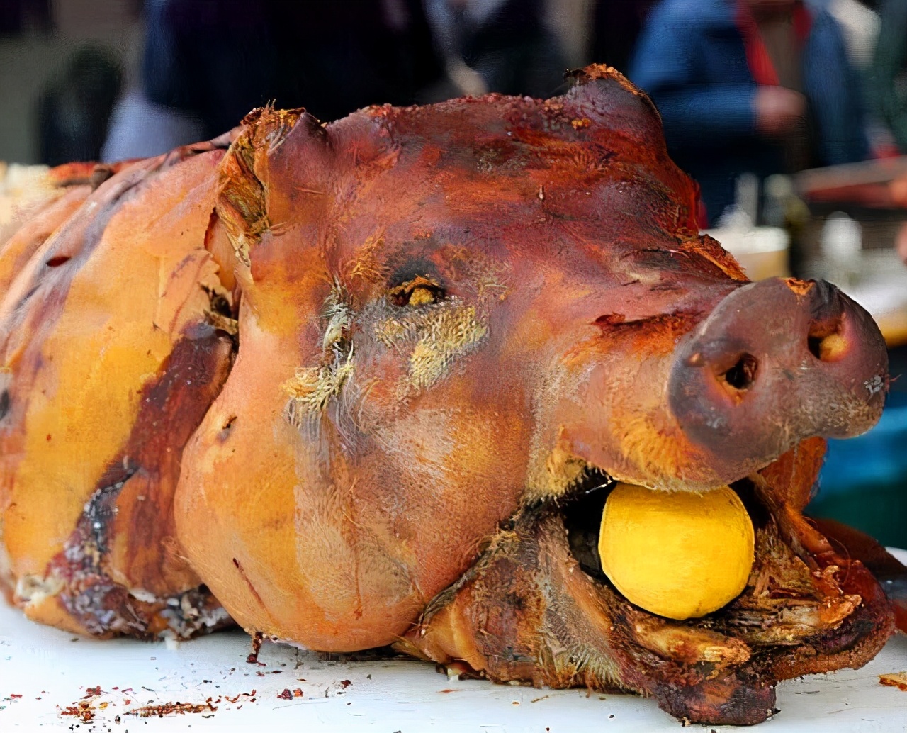野猪肉馄饨怎么做_野猪肉馄饨的做法_豆果美食