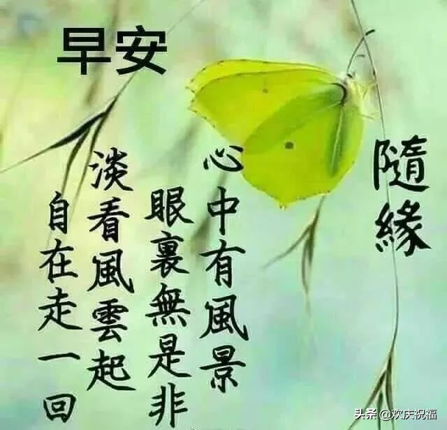 新的一周早上好问候语图片表情大全 早上好祝福表情大图图片