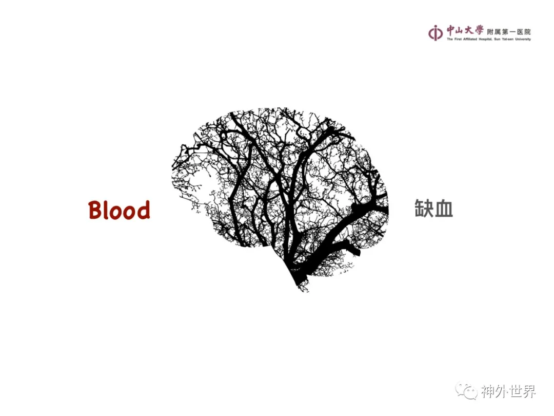 最全影像总结 | 颅内病变 MR、CT 的阅片技巧，太赞了