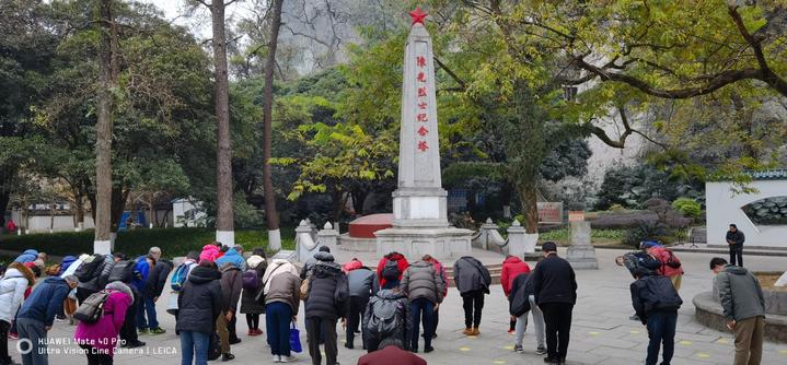 桂林300年古枫树红如火焰，绽放出红色力量，见证了烽火岁月