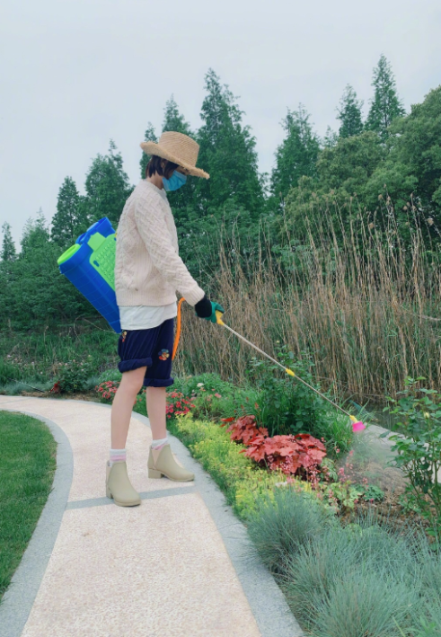 Zhang Xin grants farm big bumper harvest, bask in husband perspective beauty to illuminate, wearing air of the simple and bare-handed ground connection that pick food