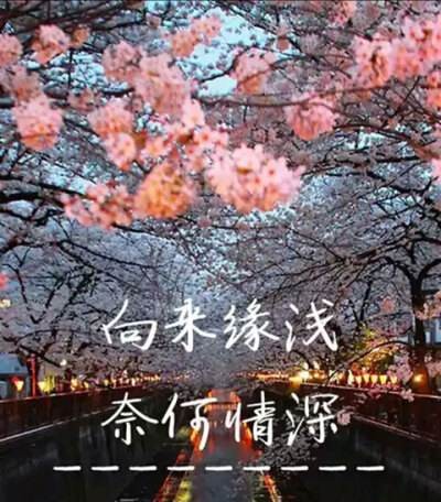 男人 女人 婚前恋人越多 婚后越容易出轨 文章内容 海门相亲 南通海之恋婚恋服务有限公司 Powered By Oelove