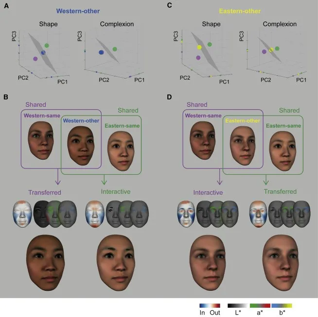 University of Glasgow Zhan Jiayu and others use 3D models to accurately ...