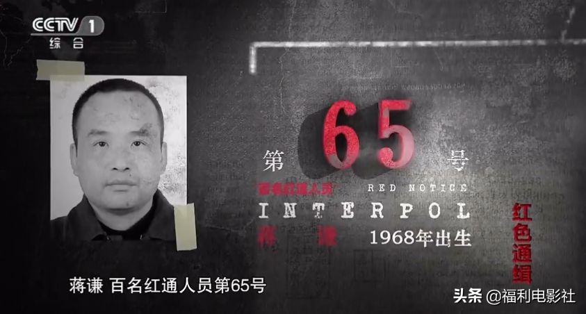 逃亡美国加拿大原来这么苦逼，这群红通逃犯贪污那么多钱有啥用呢