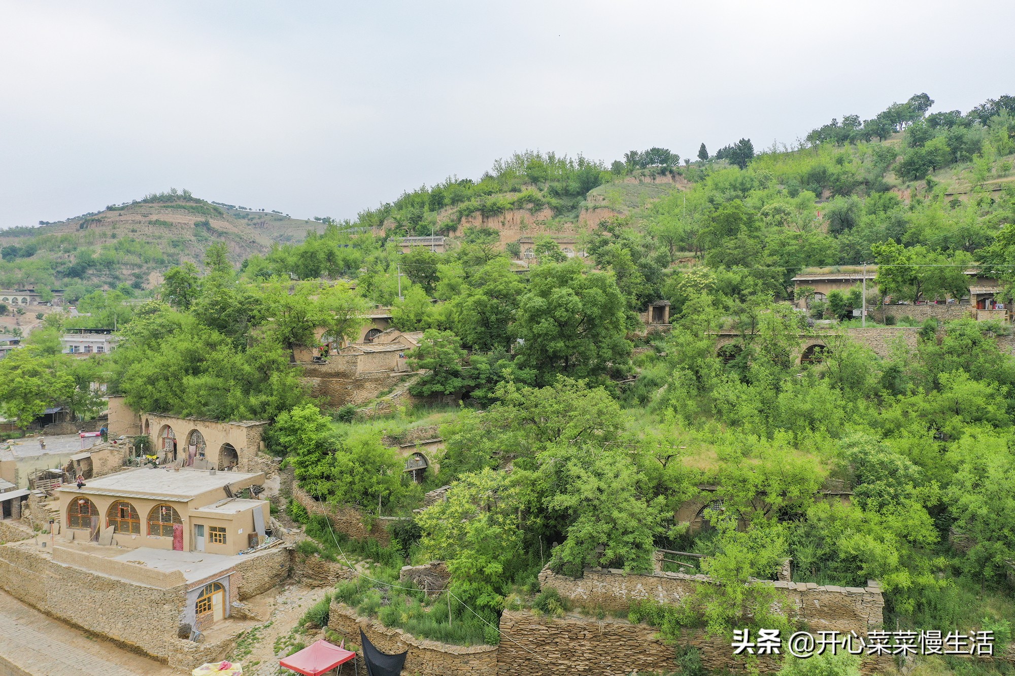 广东游客到陕北旅游，进到一个村子里，咦？怎么不是黄土高坡呢？