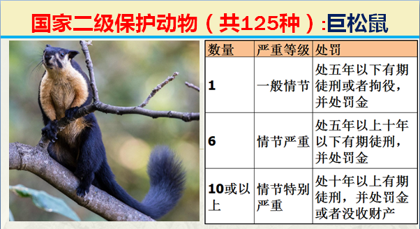 国家最新125类二级野生保护名录，图片及违法对应刑责