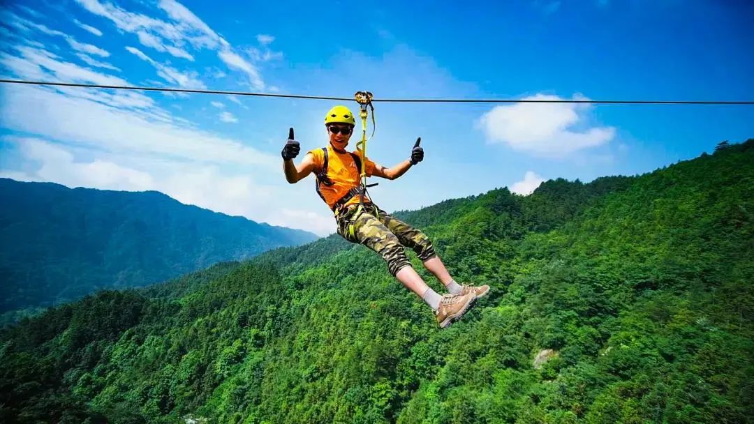 岳阳大事件！五一近百种动物空降天岳，举办运动会，免门票