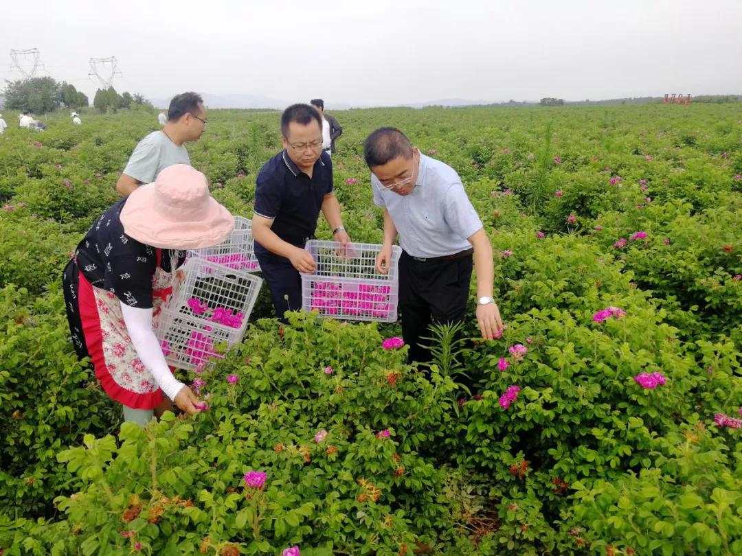 陕西宝鸡渭滨区：彰显文化优势 提升文明成色