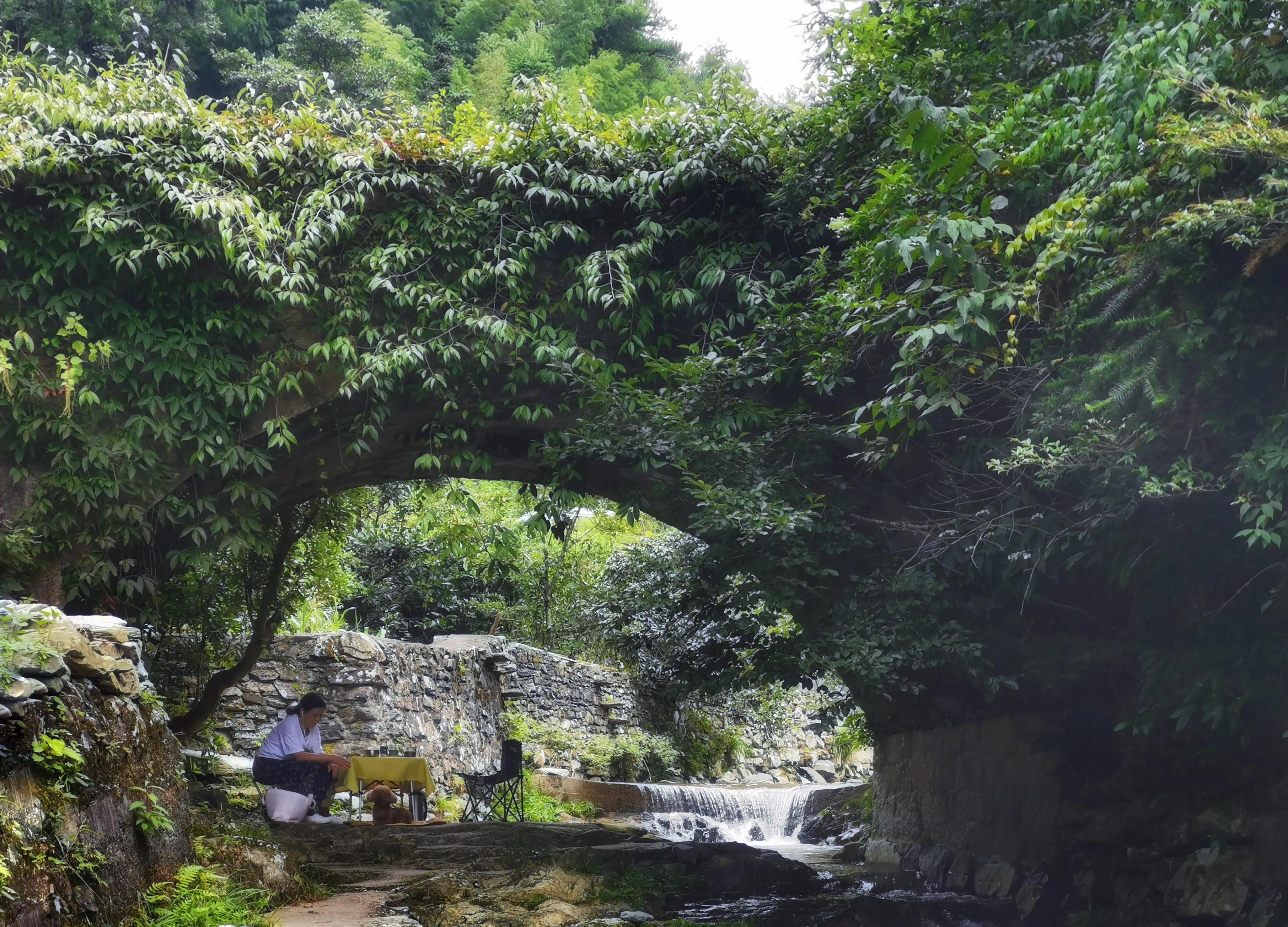 夏天去婺源：920米鄣山村避暑，13公里密林穿越，雨天看卧龙美景