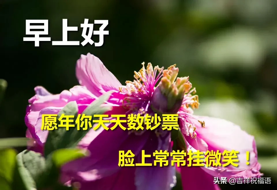 早晨好唯美图 早上好的图片表情带问候句子图片