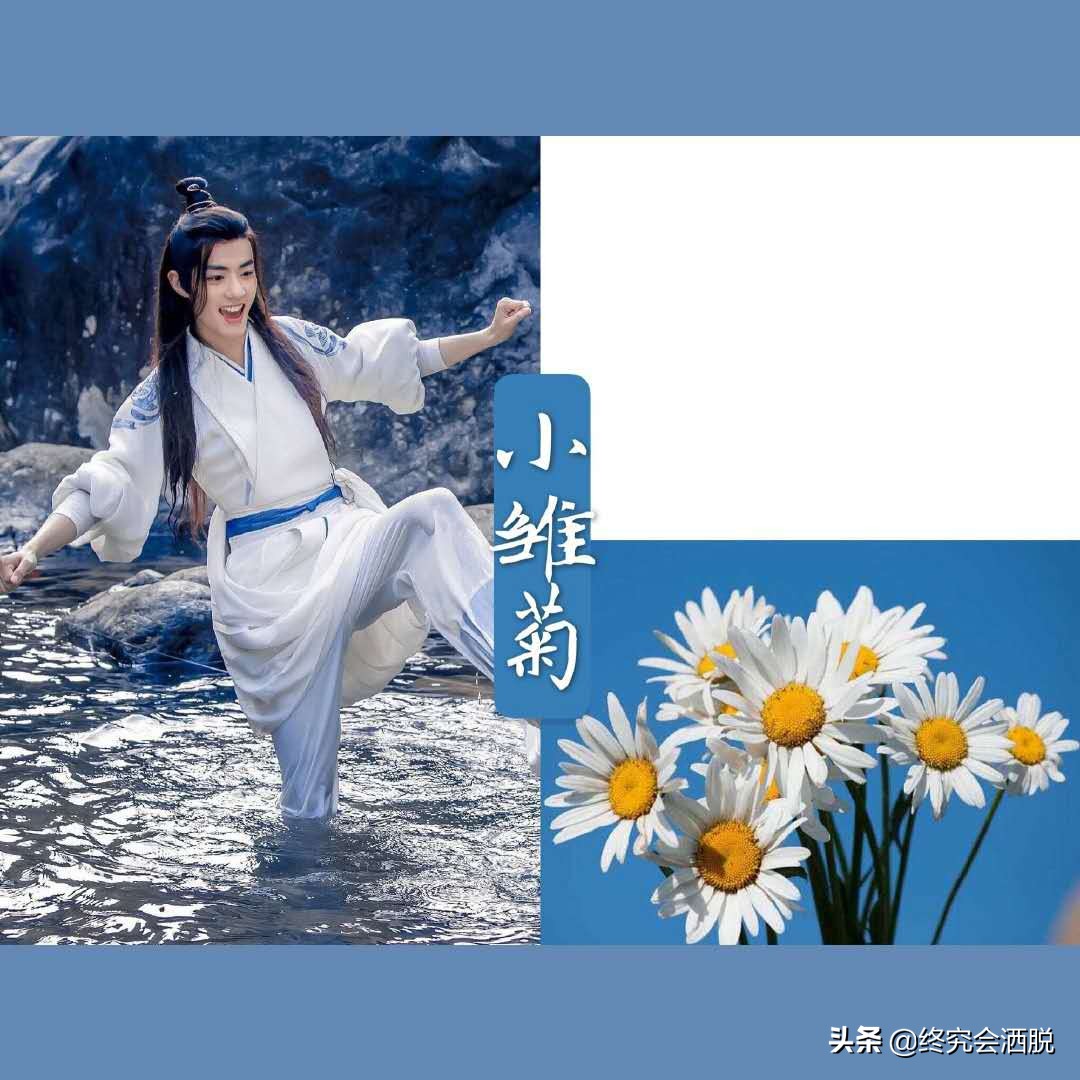 当肖战的装扮遇上不同种类的花，呈现的画面如此和谐，一人千面