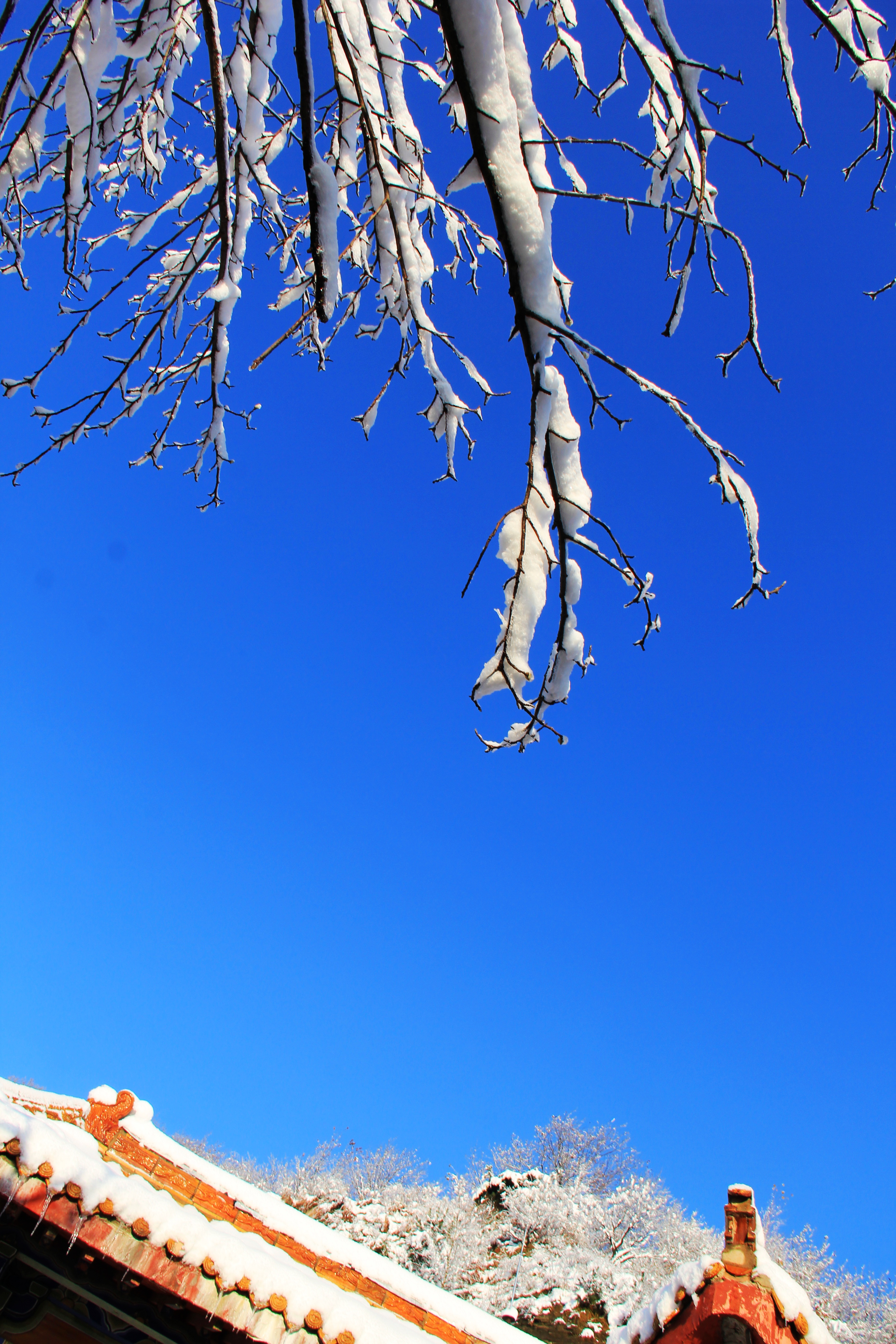 Snowed Bai Yunshan, had you seen? 