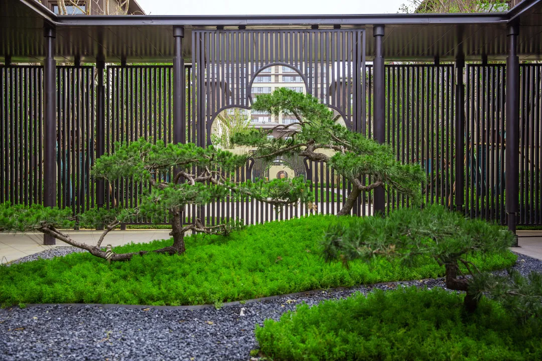 曾经播下的希望种子，此刻已枝繁叶茂