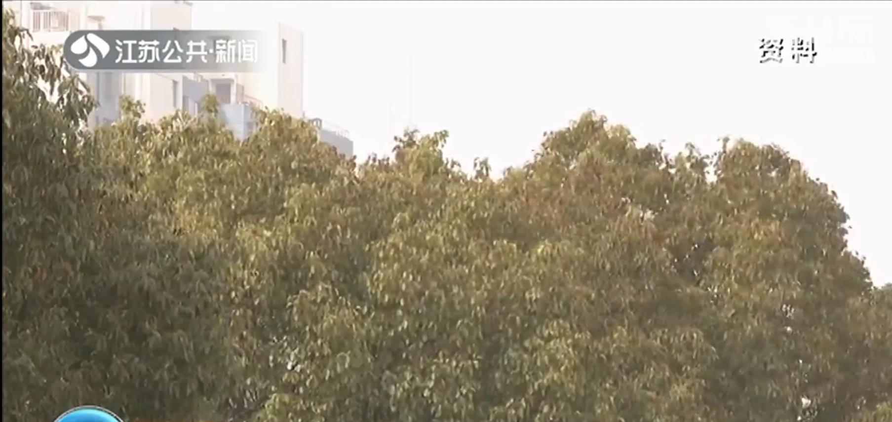 沙尘随冷空气到达江苏，今明两天注意关闭门窗 出门戴好口罩