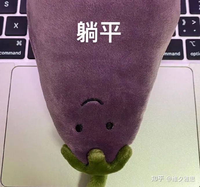 “抱歉！我就是那个5年花了140万，回国月薪4500的留学生”