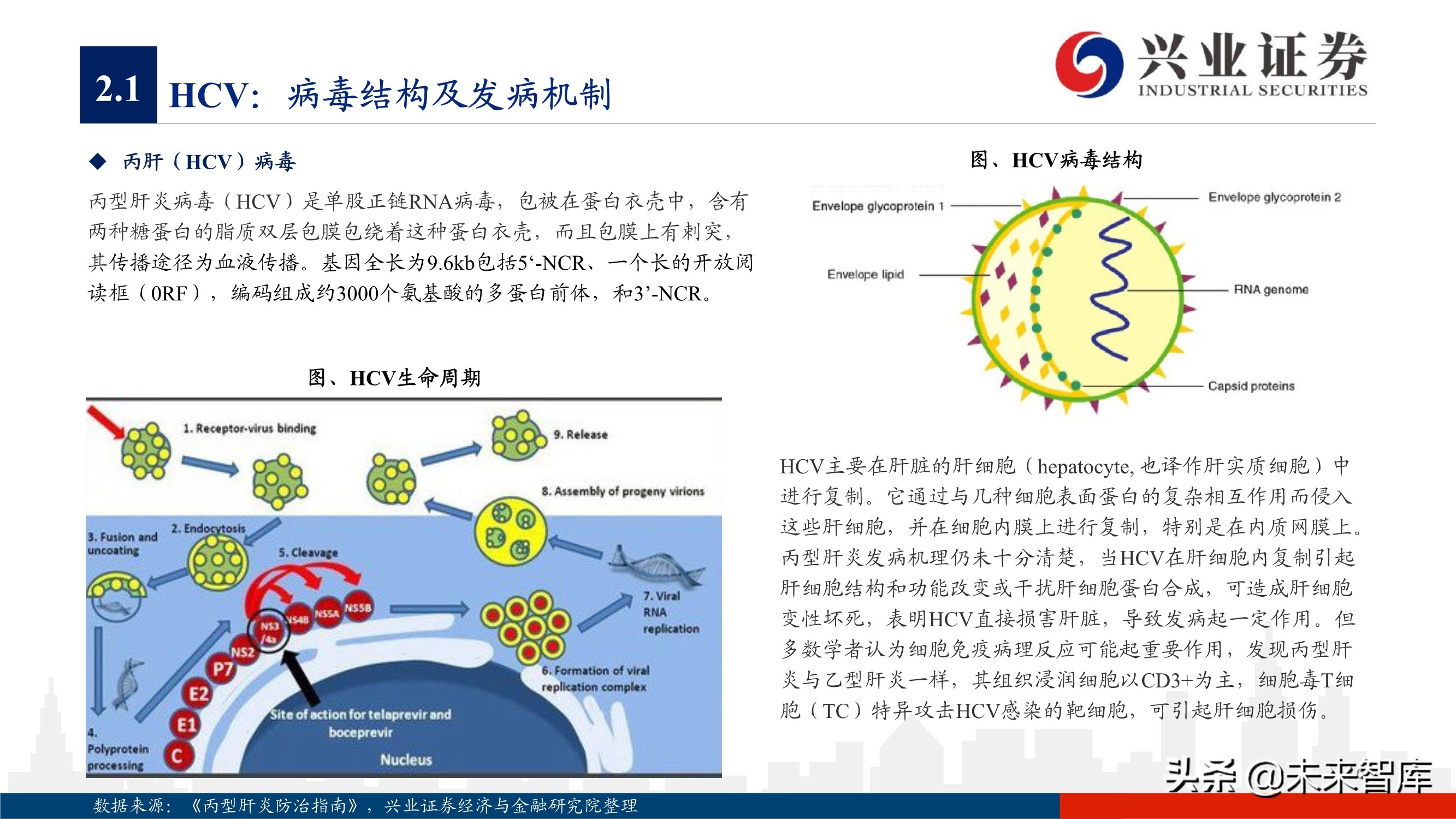 抗病毒药物150页深度报告：新冠映射下的价值洼地