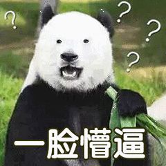 日本的大学面试有哪些奇怪的问题？