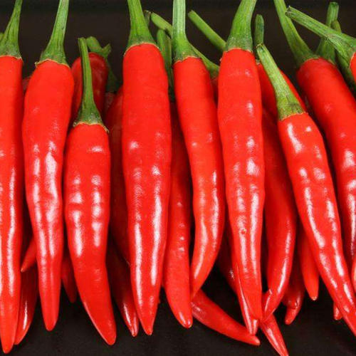 买辣椒时，怎样区分辣和不辣，湖南妹来带你了解其中的奥妙